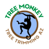 Tree Monkey Tree Trimming